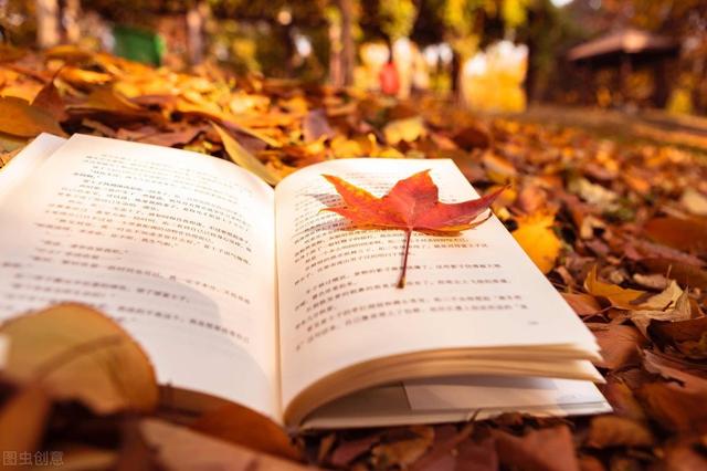 知識より体得を重視する‐読書の秋