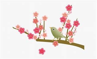 如月 如月